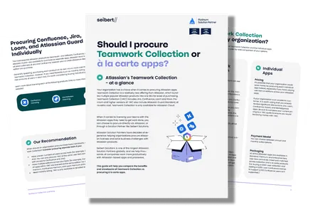 Preview of the Should you buy Teamwork Collection or the apps on their own? whitepaper